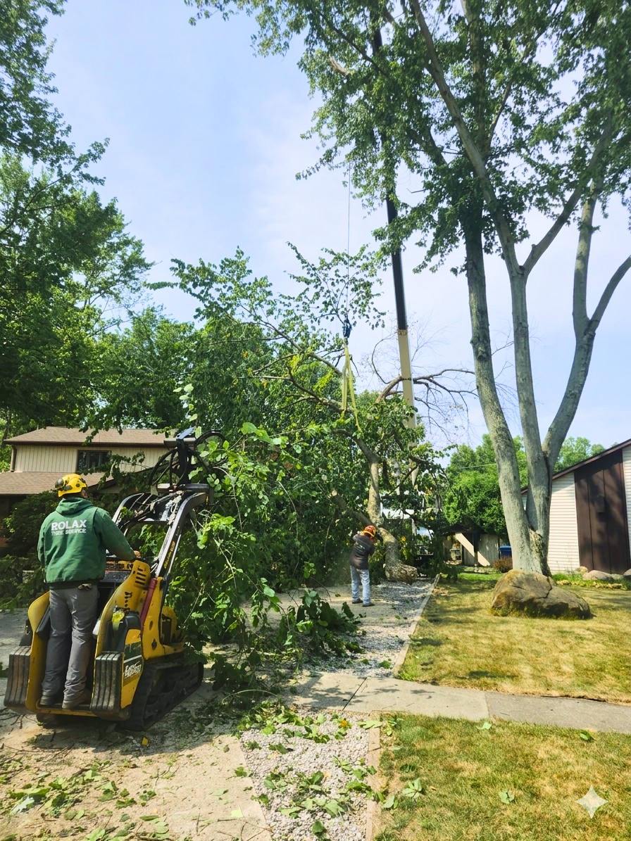 Emergency Tree Service services in Buffalo, NY
